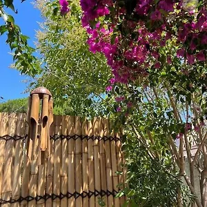 Avec Rez De Jardin Appartement Six-Fours-les-Plages